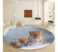 Générique Style Photographie Léopard Tapis de Rond à Poils Courts Diamètre 160 cm, Moquette de Doux Confortable - Tapis Lavable en Machine Antidérapant Gris pour Salon Chambre Cuisine