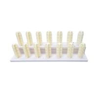 Générique Support De Rangement for Rouleaux De Tissu,Vinyle PVC,Chariot for Textiles Commerciaux À Double Couche,Cuir Papier Peint(14 Pillars)
