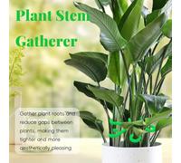 Générique Support de Tige, Support de,4 Pinces de Support de Plantation | Clips de de Jardin pour Alocasia, Monstera pour Pousser Debout et Rendre Plus sain