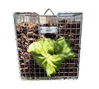 Générique Support Fougère - 28cm Panier Vertical, Acier Inoxydable 304, Crochet Mural | Support Orchidée Pour Salon Jardin Balcon Intérieur Chambre Maison Porche Jardinière Murale Décorative Pièce