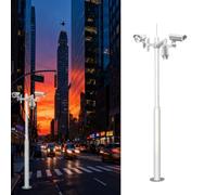 Générique Support Universel Robuste pour caméra de sécurité sur Poteau - Pied Durable de 4,5 m avec Cage en Acier pour Solutions de vidéosurveillance résidentielles et commerciales