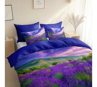 Générique Surréalisme Champs Lavande Microfibre brossée Douce Parure de Lit 240 x 260 cm, Violet Housse de Couetteavec 2 Taies d'oreiller 65 x 65 cm légère et Facile d'entretien