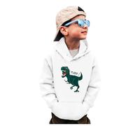 Générique Sweat a Capuche Bébé Garçon,Sport Slim Fit de Jogging Pull rétro pour Garçon Casual Haut Hoodie Sweat-Shirt Unisexe Imprimé Automne Hiver Printemps
