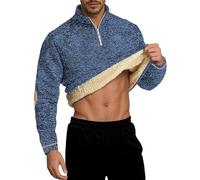Générique Sweat Zippé Homme à Col Montant Confortable Sweatshirt Décontracté Moderne Pull Polaire Moto Loisirs Plus Couette éPaisse, Capuche, Col Haut, sans Capuchon Multistyle