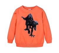 Générique Sweats à Capuche Garçon - Hoodie Manches Longues Vetement de Sport Décontractés Pull-Over Fille Sweatshirts Zip Hooded Sweatshirt Top Bébé Garçons Enfants Sweat Shirt 1-8 Ans