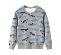 Générique Sweatshirt Enfant Garçon Dinosaure 3D, Sweat à Manches Longues Garçon Motif Dinosaure Réaliste, Hauts Enfants Garçons Confortable pour Aventures Cadeau Lose