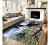 Générique Tapis Border Collie Lavable 200x300, Tapis Salon Chambre, Motif Fleur Herbe Chien, Antidérapant, Poil Court, Doux, Decoration Maison