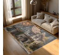 Générique Tapis Chalet Campagne, Tapis Entree Interieur Ferme Campagne, Poils Antidérapant Courts Doux Moquette Paillasson Interieur Entree Un Nettoyage Facile 50 x 80 cm P-&67