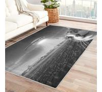 Générique Tapis Chat Ovni Lavable 100x150, Tapis Salon Chambre Cuisine, Motif Humour Sci-FI Animaux, Antidérapant, Poil Court, Doux, Decoration Chambre Descente de Lit