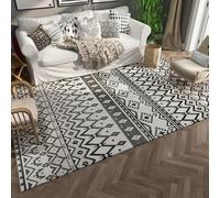 Générique Tapis Chauffant Économe en Énergie, Tapis Électrique À Chauffage Rapide, Tapis Antidérapant pour Usage Intérieur, 220 V,55CM*90CM