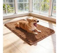 Générique Tapis Chien Absorbant Microfibre - Paillasson Entrée Intérieur Anti Boue, Tapis de Sol Lavable en Machine et Antidérapant pour Animaux, Séchage Rapide des Pattes Sales (Brown)
