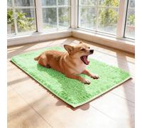 Générique Tapis Chien Absorbant Microfibre - Paillasson Entrée Intérieur Anti Boue, Tapis de Sol Lavable en Machine et Antidérapant pour Animaux, Séchage Rapide des Pattes Sales (Green)