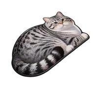 Générique Tapis de Bain Chat pour Salle de Bain antidérapant, pour intérieur extérieur Porte d'entrée entrée Douche Cuisine Chambre Salon