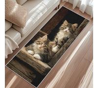 Générique Tapis de Couloir Chat, Lavable et Antidérapant, Tapis Long Animaux de Ferme Rustique pour Cuisine, Entrée, Salon, Chambre, Décoration Intérieure, Descente de Lit 80x200 cm a5&o40