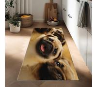 Générique Tapis de Couloir, de Cuisine 50 x 140 cm, Lavable en Machine Tapis Couloir Photographie De Nature à Poils Courts Antidérapant Animaux Chiens Portraits pour Cuisine, Chambre à Coucher, Salon