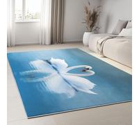 Générique Tapis de Couloir Lavable 60 x 90 cm, Antidérapant Entree Interieur Tapis à Poils Courts Doux Animaux du Lac Cœurs Decoration Chambrel Manger Minimalisme, pour Adulte Fille Garcon
