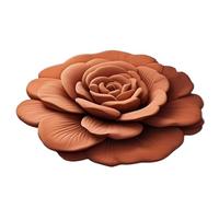 Générique Tapis De Douche en Terre De Diatomées, Absorbant À Séchage Rapide Tapis Pierre, Motif 3D Réaliste Anti-Dérapant Séchage Rapide 40x40cm pour Baignoire