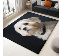 Générique Tapis de Salon Animal Shih Tzu 140 x 200 cm Poil Court Tapis, Moderne Chambre Enfant Adulte Noir Doux Lavable Antidérapant Moquette pour Entrée Cuisine Couloir