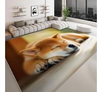 Générique Tapis de Salon Lavable 60 x 90 cm Vert Sauge, Tapis antidérapant Animaux Shiba inu Photographie pour Chambre - Coureur imprimé à Poils Courts pour Salle à Manger Bureau Salle de Jeux