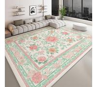 Générique Tapis de Salon Moderne 100 x 160 cm Princesse, Tapis Antidérapant Rose Fleurs Plantes Feuilles Doux et Durable - Moquette Grand Lavable pour Chambre Adulte Salle à Manger Cuisine