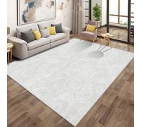 Générique Tapis de Salon Moderne Tourbillon 100x150cm, Géométrique Blanc Spirale Tapis Antidérapant à Poils Ras Lavable en Machine Rectangulaire pour Chambre Cuisine Bureau