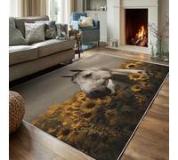 Générique Tapis Entree Interieur 90x120 Motif 3D Cheval, Tapis de Porte Imprimé Ferme Animaux Tournesol, Paillasson Lavable Antidérapant, Decoration Chambre Cuisine, Poil Ras, Doux fc162