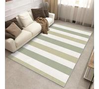 Générique Tapis Entree Interieur Rayure Verte 60 x 90 cm, Lavable Petit Tapis Rayures Verticales, Poils Antidérapant Poils Ras Doux Moquette pour Paillasson Exterieur Entree P-&128