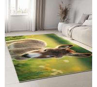 Générique Tapis Imprimé Fleurs des Champs Ânes Runner Doux à Poils Courts Photographie De Nature, Antibactérien Antidérapant Tapis de Cuisine pour Salon Chambre Bureau Decoration 120 x 170 cm