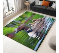 Générique Tapis Imprimé La Nature Les Animaux 160 X 230 Cm - Super Doux Tapis Poils Courtsoiseau Sauvage Juvénile Lavable - Decoration Chambre Maison, Vert Moquette Dessous Antidérapant