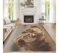 Générique Tapis Lion Interieur 180 x 200 cm, Tapis Salon Lion Sauvage Chambre, Moquette Motif Antidérapant Lavable Poil Ras Doux, Décoration Intérieure QAZ90