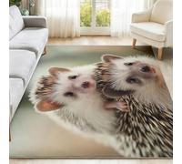 Générique Tapis Mignon Animal Ceci Est Salon Moderne Chambre Antidérapant Enfant Ado Décoration Tapis Brun Clair Lavable Antidérapant Flanelle pour Chambre de Fille, 100 x 150 cm