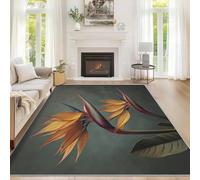 Générique Tapis Oiseau de Paradis, Grand Tapis Salon 240x340 Fleur Tropical Carpette Chambre, Flanelle Poil Ras Moelleux - Antidérapa Lavable en Machine H-75