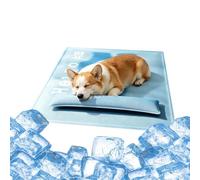 Générique Tapis rafraîchissant Chien Imperméable avec Oreiller Cervical