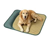 Générique Tapis Rafraîchissant Chien Intérieur avec Oreiller Été Portable