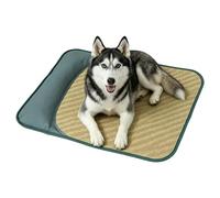 Générique Tapis Rafraîchissant Chien Intérieur avec Oreiller Été Portable
