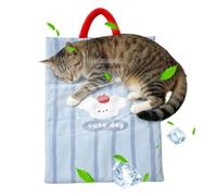 Générique Tapis Rafraîchissant Chien Pliable Respirant Lavable