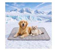 Générique Tapis Rafraichissant Chien, Tapis rafraichissant pour Chien et Chat, Coussin Auto-refroidissant, Non Toxique-Reste Froid Plus Longtemps, Tapis de Refroidissement pour Chiens et Chats
