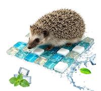 Générique Tapis rafraîchissant pour Chats et Lapins, lit d' réutilisable | Tapis frais respirant pour Hamster furet hérisson gerbille Chinchilla, intérieur extérieur, facile à , pas de fuite