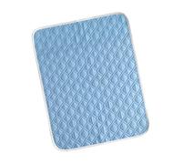 Générique Tapis rafraîchissant pour Chien 120x80cm, Tissu en Polyester Doux et Robuste pour Les journées Chaudes, Facile à Laver et à Garder à portée de Main, Tapis pour Chien bondé