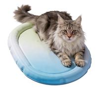 Générique Tapis Rafraîchissant pour Chien - Couvre-Repos | Coussin Auto-refroidissant Doux pour Animal de Compagnie,Chien Petit Moyen Grand Cage de Transport Niche Sol canapé Maison Voyage