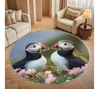 Générique Tapis Rond Lavable en Machine Motif Animal Macareux Décoration de Chambre pour Adultes et Enfants, LumièRe Antidérapant Doux Poils Ras Grand Tapis Rond de Salon, 160cm Circulaire