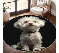Générique Tapis Rond Lavable en Machine Shih Tzu Blanc Décoration de Chambre pour Adultes et Enfants, Noir Antidérapant Doux Poils Ras Grand Tapis Rond de Salon, 160cm Circulaire