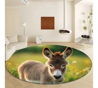 Générique Tapis Rond Photographie De Nature Antidérapant 160 cm, Tapis Fleurs des Champs Ânes Lavable en Machine Paillasson d’entrée pour Salle à Manger Chambre d’Enfant Nurserie Décoration