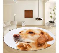 Générique Tapis Rond Style Photographie Golden Retriever, Tapis Blanc Lavable en Machine Diamètre 60 cm Moquette Imprimé Antidérapant - Moquette Doux Poil Court pour Salon Chambre Nurserie