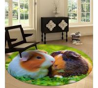 Générique Tapis Ronds Lavables 120 cm, Fleurs des Prés Rats Tapis Antidérapant pour Salon - Paysage Naturel Coureur Rond à Poils Courts Doux pour sous Table à Manger