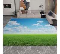 Générique Tapis Salon 160 x 230 cm, Tapis Lavables avec Dos Antidérapant, Moquette à Poils Courts Prairie Céleste Surnaturelle pour Salon Chambre, Bureau & Plus Durable & Écologiqu, Bleu