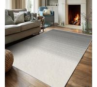 Générique Tapis Salon 160x200 Motif Rayure, Tapis Imprimé Gradient Rayure Boheme, Lavable Antidérapant, Decoration Chambre Maison, Poil Ras, Doux SKZ455