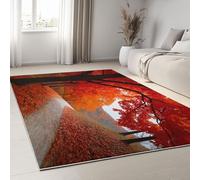 Générique Tapis Salon 180 x 240 cm Runner Rectangulaire Lavable Imprimé Paysage Naturel, Forêt d'automne Feuilles Mortes Tapis Décoratif Antidérapant Runner Bas Doux pour Chambre Décoration Sol
