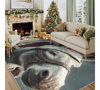 Générique Tapis Salon Âne, Paillasson Interieur Entree Animaux de Noël 50x80 cm, Moquette de Sol Doux et Antiderapant à Poils Courts, Tapis Sol Décor à la Maison C&J70