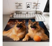 Générique Tapis Salon Berger Allemand 160x230cm Tapis de Chambre Doux Antidérapant, Moquette Poils Ras Lavable Moderne, Durable et Facile d'entretien